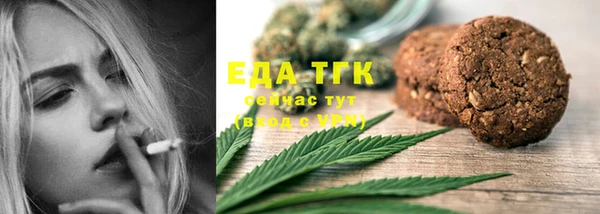 индика Лагань