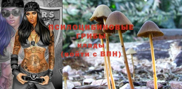 2c-b Ладушкин