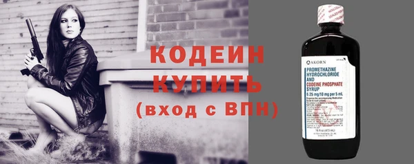 индика Лагань