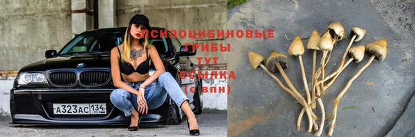 2c-b Ладушкин