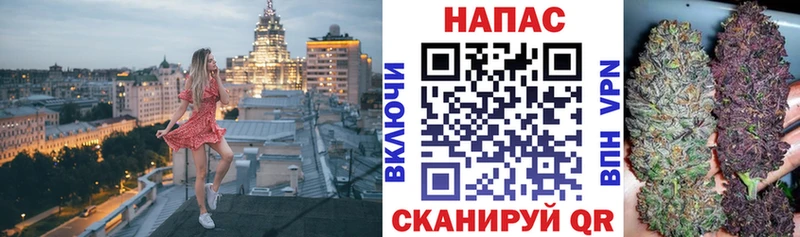 Бошки Шишки Amnesia  Почеп 